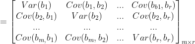 =\begin{bmatrix} Var(b_{1}) & Cov(b_{1},b_{2})& ... &Cov(b_{b1},b_{r}) \\ Cov(b_{2},b_{1})& Var(b_{2}) & ... & Cov(b_{2},b_{r})\\ ...&... & ... &... \\ Cov(b_{m,}b_{1})& Cov(b_{m},b_{2}) &... &Var(b_{r},b_{r}) \end{bmatrix}_{m\times r}