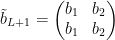 \tilde{b}_{L+1}=\begin{pmatrix} b_{1} &b_{2} \\ b_{1} &b_{2} \end{pmatrix}