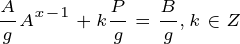 \tiny \frac{A}{g} A^{x-1} + k\frac{P}{g} = \frac{B}{g} , k \in Z