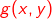 {\color{Red} g(x,y)}