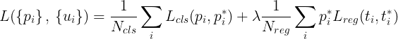 \large L(\left \{ p_i \right \},\, \left \{ u_i \right \})=\frac{1}{N_{cls}}\sum _i L_{cls}(p_i, p^*_i)+ \lambda \frac{1}{N_{reg}} \sum _i p^*_i L_{reg}(t_i, t^*_i)