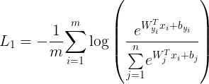 \large L_1 = -\frac{1}{m}{\sum\limits_{i=1}^m}\log\left(\frac{e^{W^T_{y_i}x_i+b_{y_i}}}{ {\sum\limits_{j=1}^n}e^{W^T_jx_i+b_j} }\right)