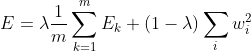E=\lambda \frac{1}{m} \sum^{m}_{k=1}E_{k}+(1-\lambda)\sum_{i}w^{2}_{i}