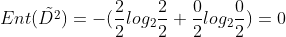 Ent(\tilde{D^2})=-(\frac{2}{2}log_2\frac{2}{2}+\frac{0}{2}log_2\frac{0}{2})=0