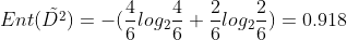 Ent(\tilde{D^2})=-(\frac{4}{6}log_2\frac{4}{6}+\frac{2}{6}log_2\frac{2}{6})=0.918