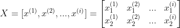 X=[x^{(1)},x^{(2)},...,x^{(i)}]=\begin{bmatrix} x_{1}^{(1)} & x_{1}^{(2)} & ... &x_{1}^{(i)} \\ x_{2}^{(1)} & x_{2}^{(2)} &... & x_{2}^{(i)} \end{bmatrix}