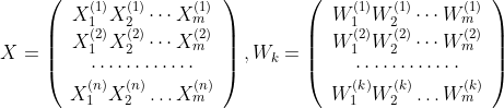 X=\left(\begin{array}{c} X_{1}^{(1)} X_{2}^{(1)} \cdots X_{m}^{(1)} \\ X_{1}^{(2)} X_{2}^{(2)} \cdots X_{m}^{(2)} \\ \cdots \cdots \cdots \cdots \\ X_{1}^{(n)} X_{2}^{(n)} \ldots X_{m}^{(n)} \end{array}\right), W_{k}=\left(\begin{array}{c} W_{1}^{(1)} W_{2}^{(1)} \cdots W_{m}^{(1)} \\ W_{1}^{(2)} W_{2}^{(2)} \cdots W_{m}^{(2)} \\ \cdots \cdots \cdots \cdots \\ W_{1}^{(k)} W_{2}^{(k)} \ldots W_{m}^{(k)} \end{array}\right)