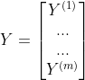 Y=\begin{bmatrix} Y^{(1)}\\ ...\\ ...\\ Y^{(m)}\end{bmatrix}