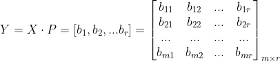 Y=X\cdot P=[b_{1},b_{2},...b_{r}]=\begin{bmatrix} b_{11}& b_{12}& ... &b_{1r} \\ b_{21} &b_{22}& ... &b_{2r}\\ ...& ...& ...&... \\ b_{m1}& b_{m2}& ... & b_{mr} \end{bmatrix}_{m\times r}