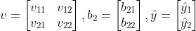v=\begin{bmatrix}v_{11} &v_{12} \\ v_{21}&v_{22} \end{bmatrix}, b_{2}=\begin{bmatrix}b_{21}\\ b_{22}\end{bmatrix}, \hat{y}=\begin{bmatrix}\hat{y}_{1}\\ \hat{y}_{2}\end{bmatrix}